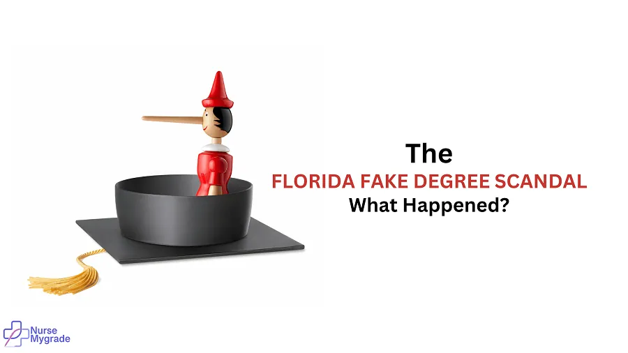 about-the-florida-fake-degree-scandal