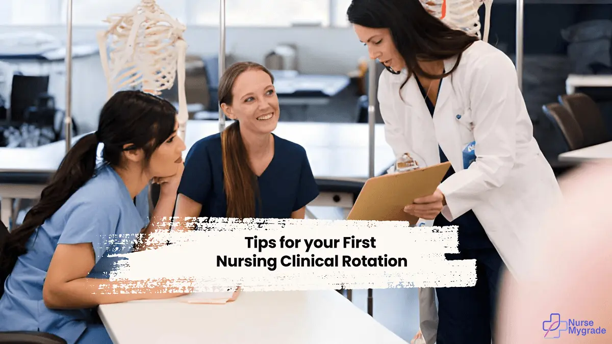 what-to-expect-in-clinical-rotations