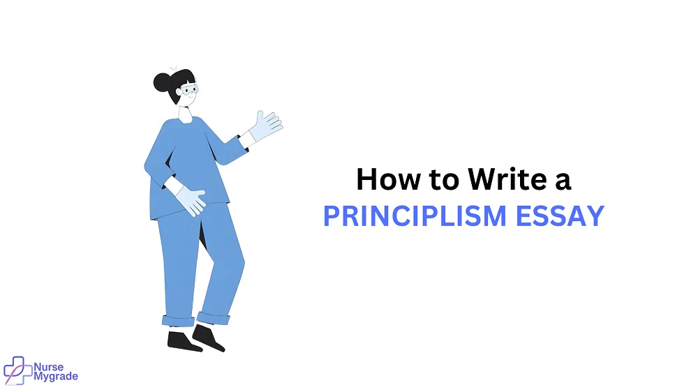 principlism-essay-writing-guide