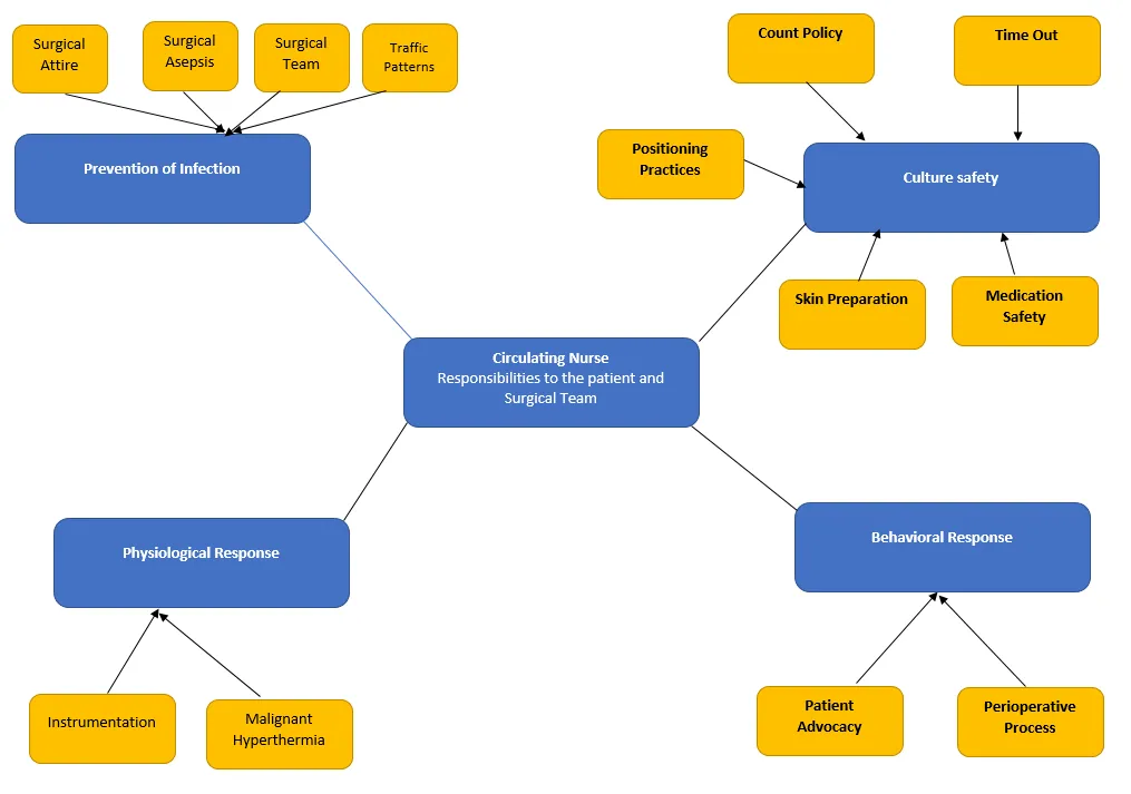 Nurse Responsibility concept map